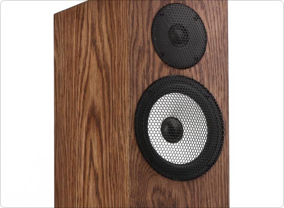 Pylon Audio Ruby 20 - cecha 1